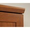 Sauder Homeplus Storage Cabinet Sienna Oak 435133 - alternate 5